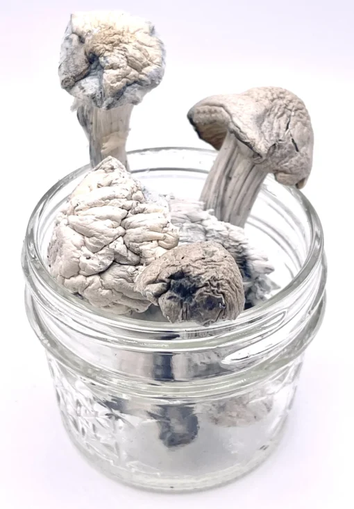 Buy Albino Penis Envy (APE)