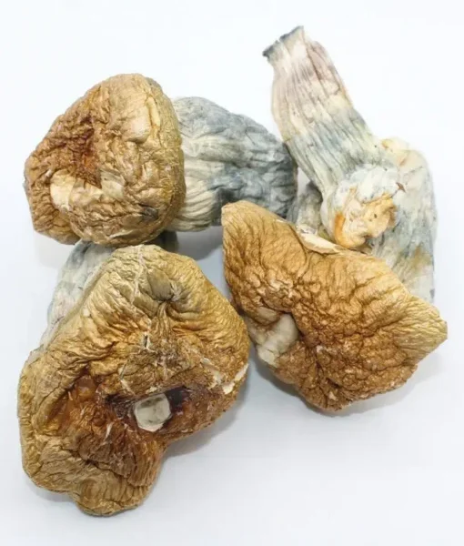 Buy Melmac PE Magic Mushroom