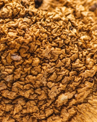 African Aphrodisiac – Cannakiss